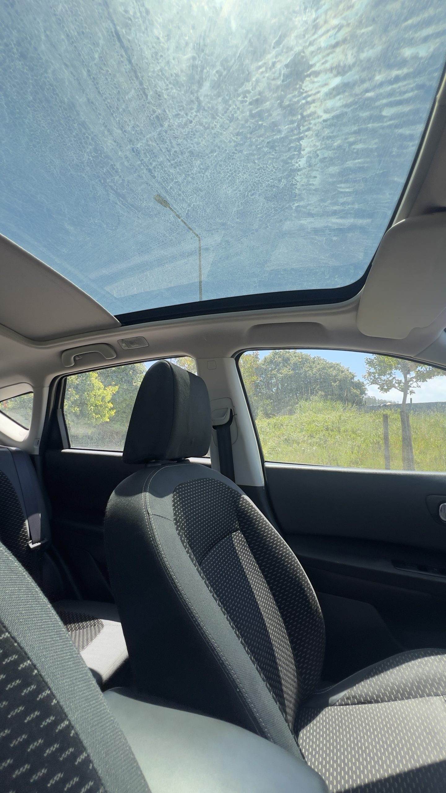 IMG_6980